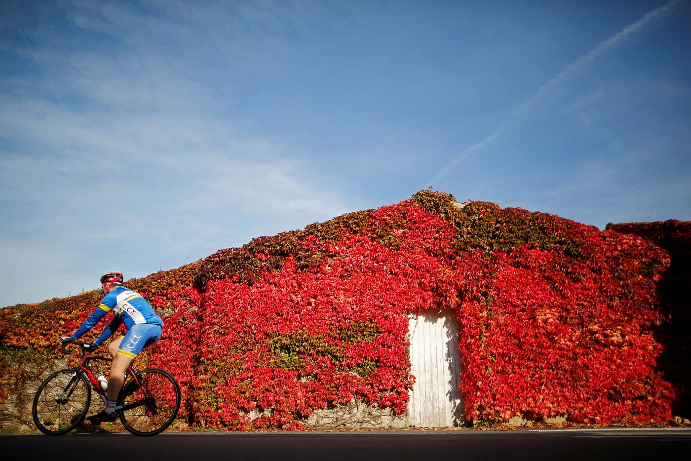 Los espectaculares colores del otoño (fotos)