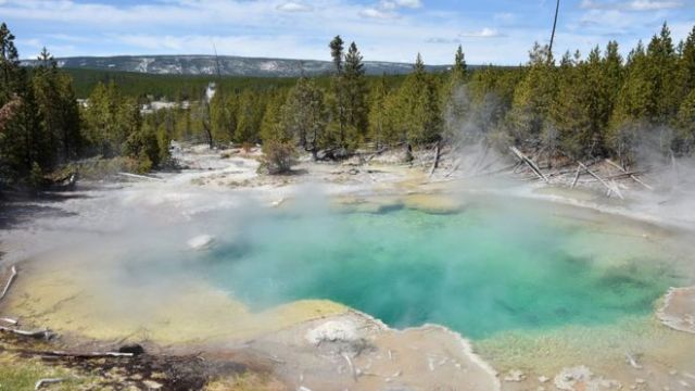 yellowstone