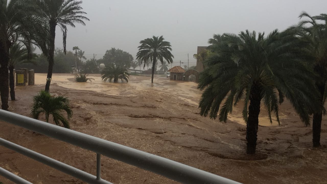 El impactante lodazal en Playa Guacuco, Margarita (FOTOS)