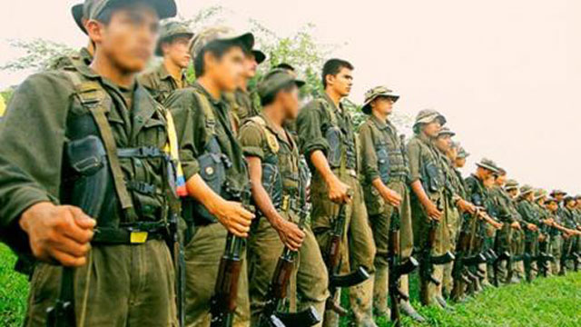 farc_15