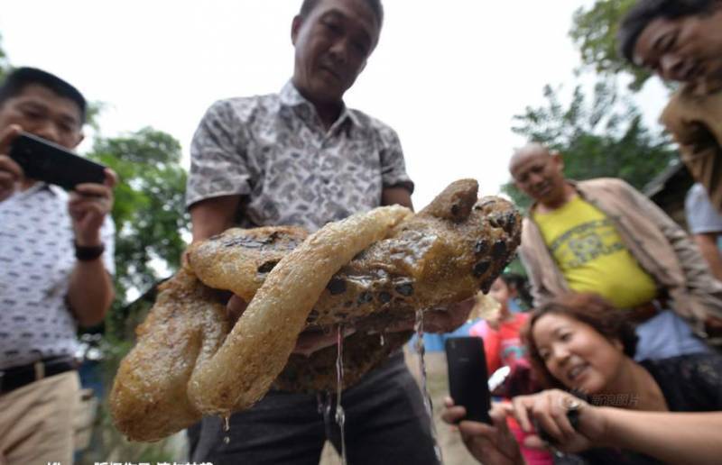 Encuentran una horrenda CRIATURA en un río de China y aseguran que “viene de otro mundo” (FOTOS)