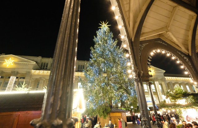 An illuminated Christmas Tree stands on the Christmas Market in Stuttgart, southern Germany, on December 5, 2016. / AFP PHOTO / dpa / Bernd Weissbrod / Germany OUT