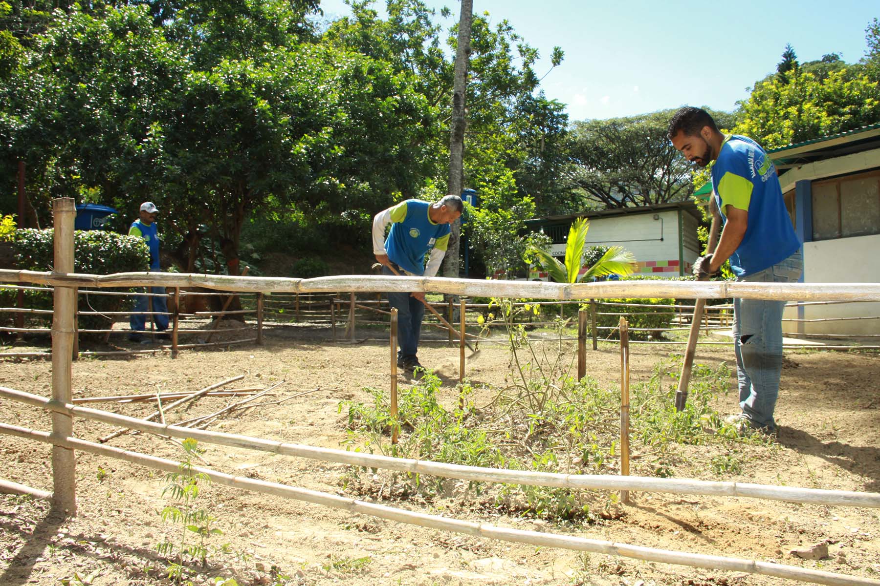 Alcaldía Metropolitana conmemoró el Día Mundial de la Educación Ambiental