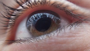 Japón aprueba los primeros trasplantes de retina con células iPS de donantes