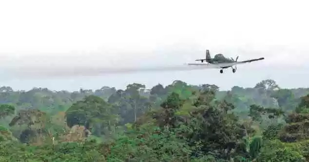 La fumigación aérea, que es el método de erradicación defendido por Estados Unidos, no se podrá aplicar más en Colombia como medida preventiva de salud y ambiental.