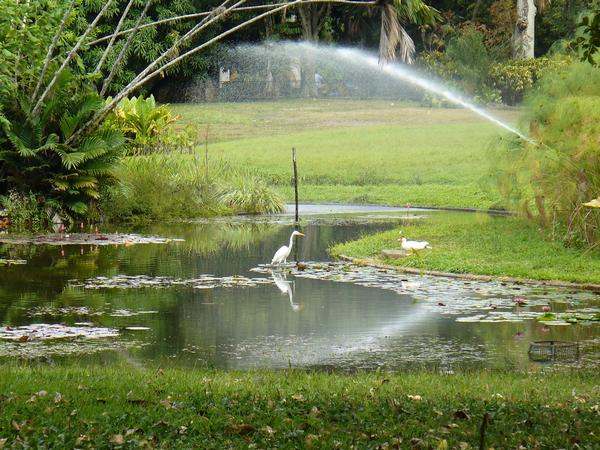 Trabajadores de Inparques piden declarar en cuarentena área de animales en cautiverio del Parque del Este