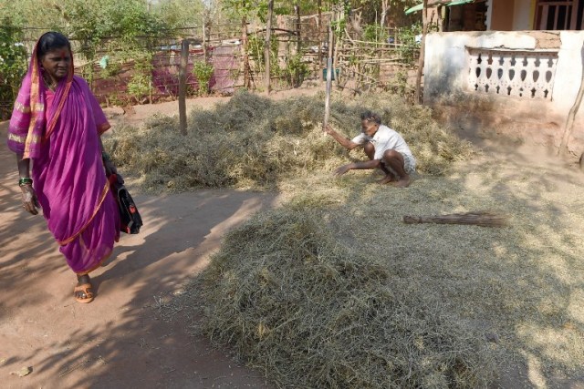 This photo taken on March 1, 2017 shows Indian grandmother Nirmala Kedar (L) arriving home from Aajibaichi Shala, or "school for grannies" in the local Marathi language, in Phangane village in Maharashtra state's Thane district, some 125km northeast of Mumbai. They wear uniforms, carry satchels, and eagerly recite the alphabet in class, but the students here are different -- this is a "school for grannies". Deprived of an education as children, the women -- most of whom are widows and aged between 60 and 90 -- are finally fulfilling a life-long dream to become literate through this unique initiative near Mumbai. / AFP PHOTO / Indranil MUKHERJEE / TO GO WITH "India-education-women-school,FEATURE" by Peter HUTCHISON