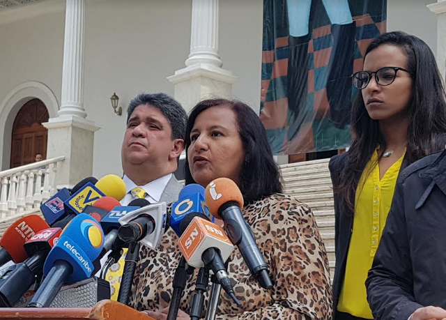 Dinorah Figuera: Esta plenamente justificada la activación de la Carta Democrática  por la violación de DDHH