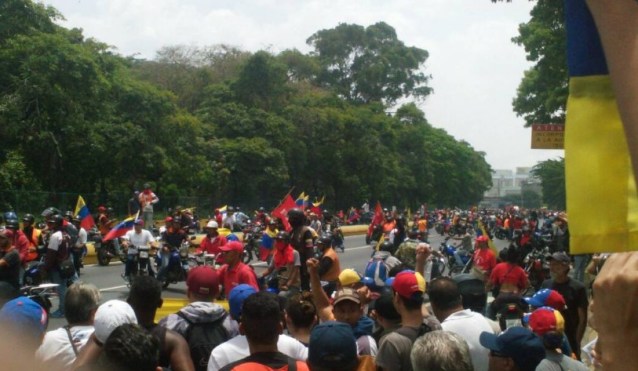 Colectivos jardin botanico