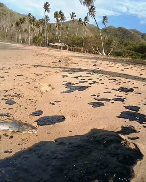 Playas de Paria, Estado Sucre, es bastante notoria la presencia de grandes parches de petróleo sobre la arena y el agua.