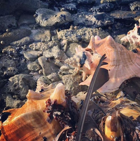 Más evidencia de la contaminación ambienal en Nordisquí. Foto: Instagram/@conbive