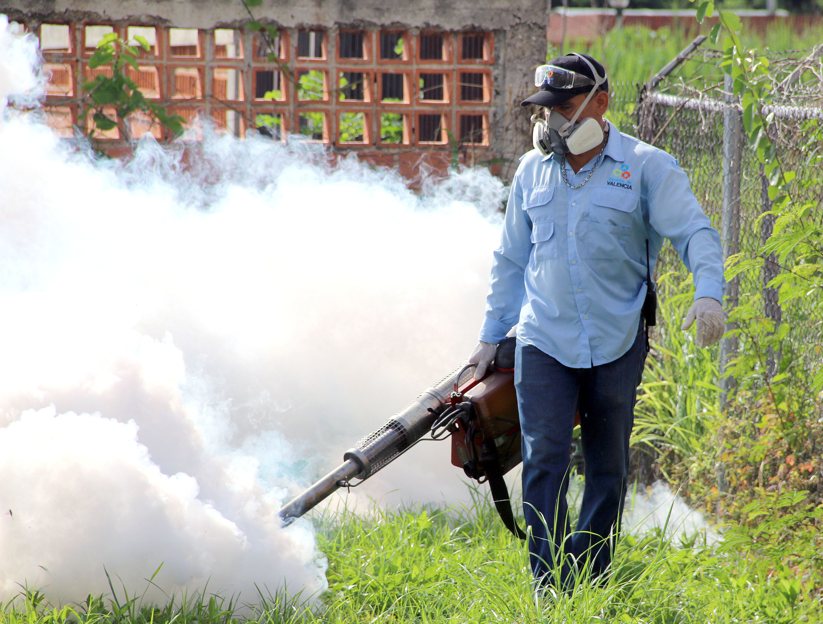 Alcalde Cocchiola continúa jornada de fumigación en Miguel Peña