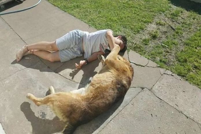 ¡Ternura! El  emocionante reencuentro de un niño con su perro desaparecido