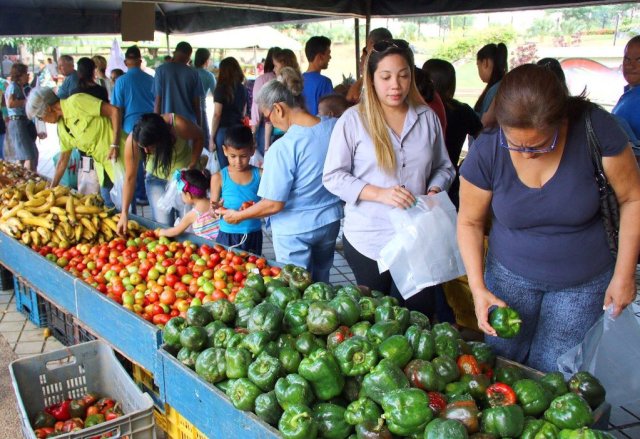 La alcaldía de Valencia fortalece la red de Mercados Vecinales