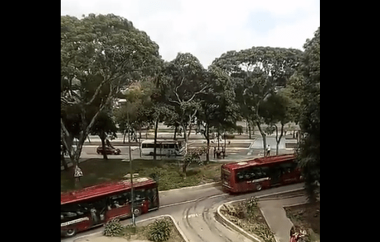 Foto:  Autobuses en Los Próceres / Cortesía 