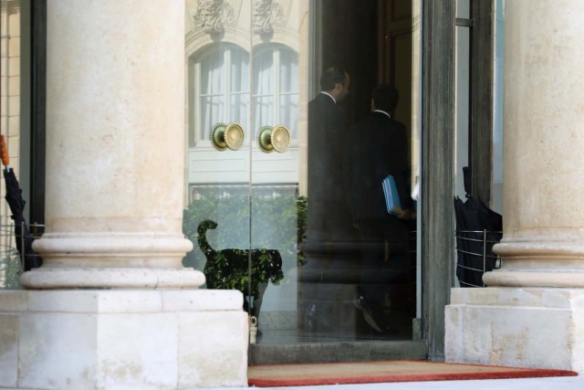 A dog named Nemo, adopted few days before by the French presidential couple from the SPA animal protection society, follows French president Emmanuel Macron (R) and Prime Minister Edouard Philippe (L) ahead of a first government meeting after the summer break on August 28, 2017 at the Elysee Palace in Paris. / AFP PHOTO / LUDOVIC MARIN