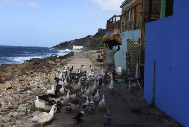 ACOMPAÑA CRÓNICA: P.RICO TURISMO SJ007. SAN JUAN (PUERTO RICO), 26/08/2017.- Fotografía fechada el 18 de agosto de 2017 que muestra una vista del barrio de La Perla en San Juan (Puerto Rico). La Perla, uno de los barrios más conocidos de la capital, ha resurgido este año con esplendor tras el remozamiento de 400 casas situadas en el histórico casco del Viejo San Juan y la visita de cientos de curiosos y turistas por el rodaje del vídeo del exitoso tema "Despacito". EFE/Thais Llorca