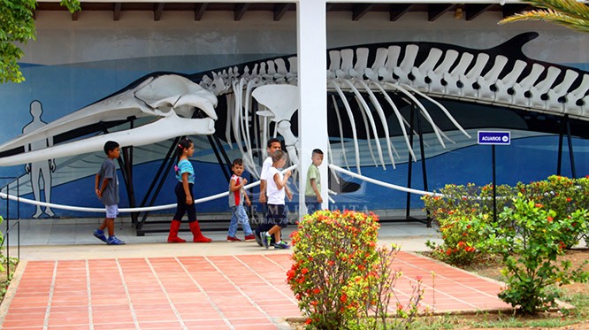 Museo Marino de Margarita abrió de nuevo sus puertas