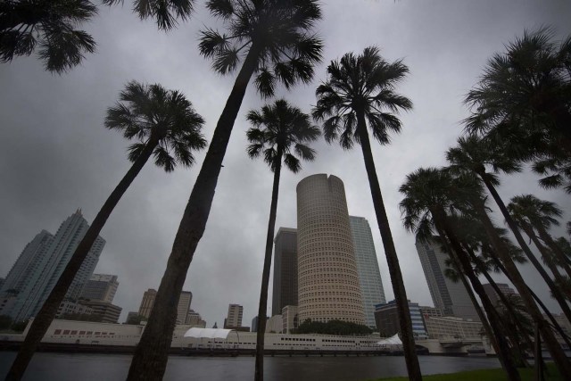 The skyline of Tampa, Florida, is seen September 10, 2017, where Tampa residents are fleeing the evacuation zones ahead of Hurricane Irma's landfall. Hurricane Irma regained strength to a Category 4 storm early Sunday as it began pummeling Florida and threatening landfall within hours. / AFP PHOTO / JIM WATSON