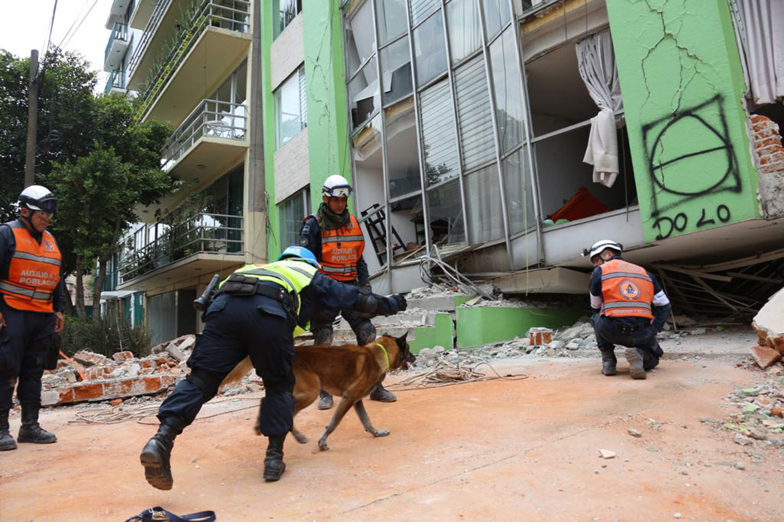 Rescatistas están “muy cerca” de salvar a niña mexicana en escuela derrumbada