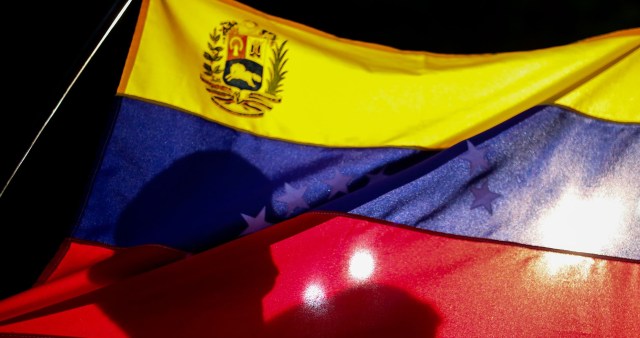 Vzla Bandera