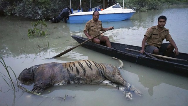 south-asia-flood-nepal-india-pakistan-bangladesh-304-59a91c430f1b2__880