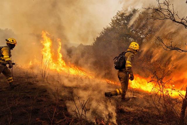  Las altas temperaturas, la sequía, y el fuerte viento que esta azotando la comunidad gallega, están provocando numerosos incendios. En la imagen, un operario de los servicios de extinción trabaja junto a las llamas que avanzan en la localidad de Constante, Lugo. (EFE/Eliseo trigo)