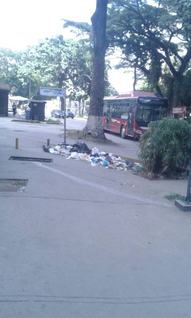 Basura Av Paéz El Paraíso 3