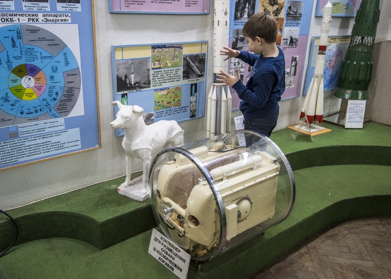 Ratones, peces, moscas, el pequeño zoológico del espacio