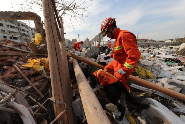 Un trabajador de rescate trabaja con un perro de rescate en el lugar de una explosión en Ningbo, provincia de Zhejiang, China, 26 de noviembre de 2017. REUTERS / Stringer EDITORES DE ATENCIÓN: ESTA IMAGEN FUE PROPORCIONADA POR UN TERCERO. CHINA FUERA.