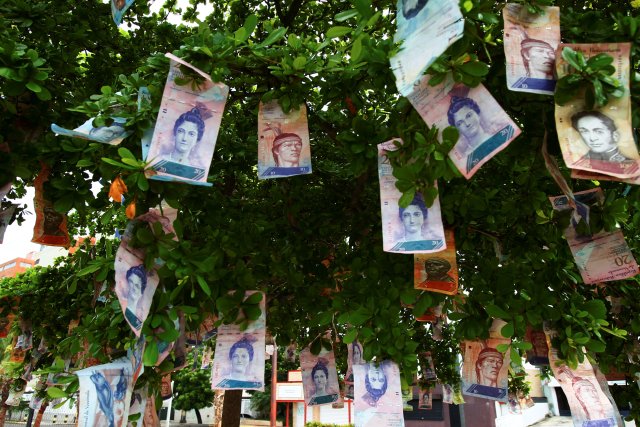 Billetes de bolívares que cuelgan en un árbol en una calle en Maracaibo, Venezuela, 11 de noviembre del 2017. REUTERS/Isaac Urrutia