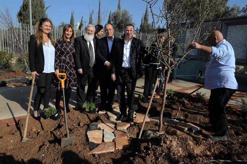 Israel celebra el Año Nuevo de los Árboles: Tu Bishvat