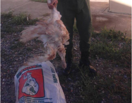 ¡INJUSTICIA! GNB disparó en la cabeza a un menor cuando cargaba pavos para comer en Vargas (foto)
