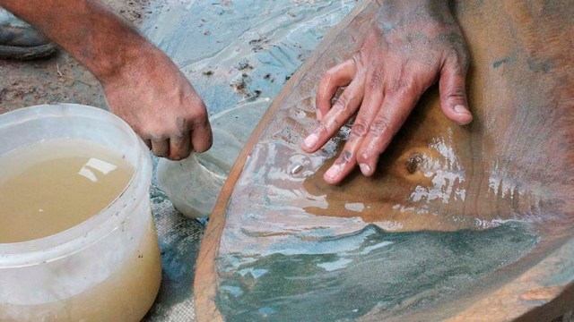 La pequeña minería ha ocupado el terreno de la otrora gran estatal aurífera Minerven