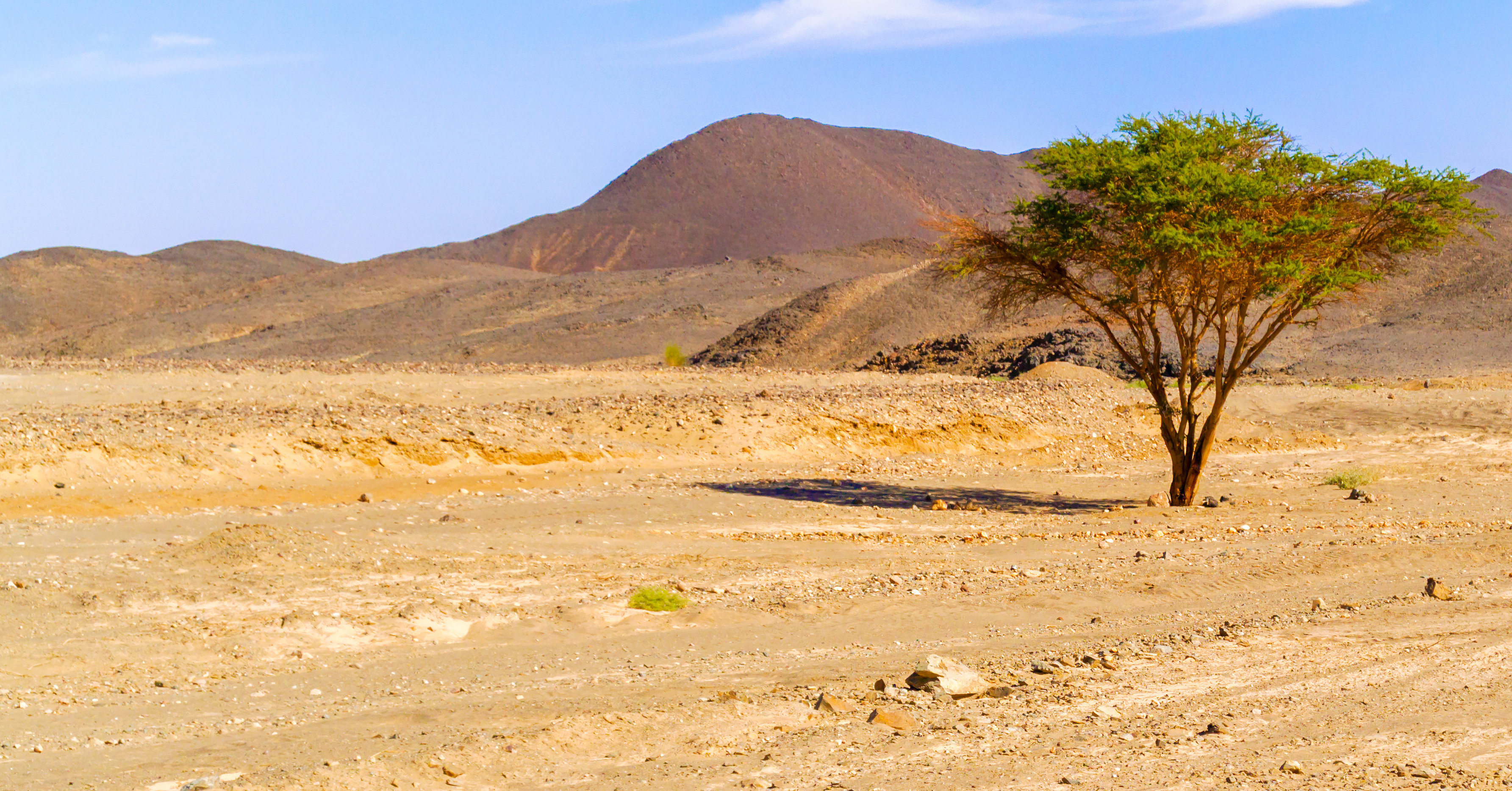 ¡Tierra de Nadie! Los territorios que no pertenecen a ningún país