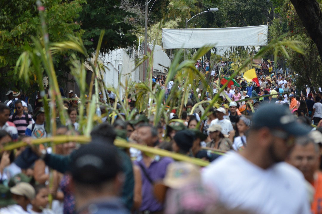 Por primera vez en 244 años los palmeros de Chacao no subirán a El Ávila