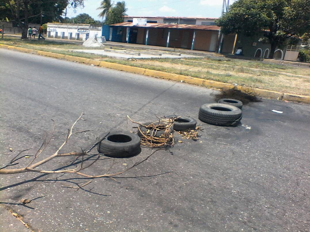 Protesta en Barinas por fallas en el servicio eléctrico #13Mar (foto)