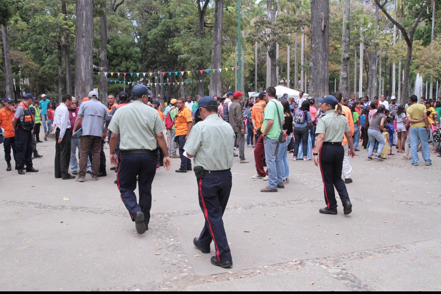 Ataque de abejas obligó a desalojar el parque Los Caobos (Video)