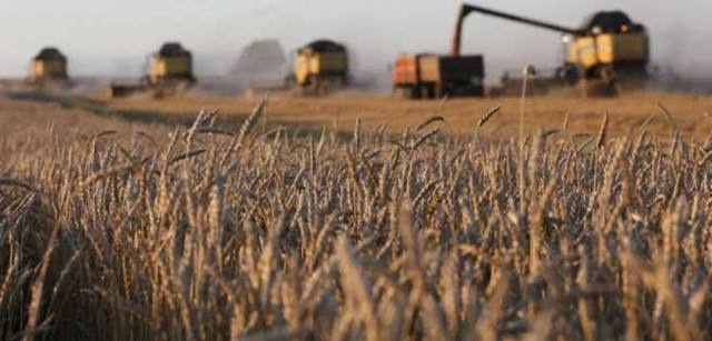 "De producir alimentos para todos los venezolanos ahora esas tierras solo producen lástima"