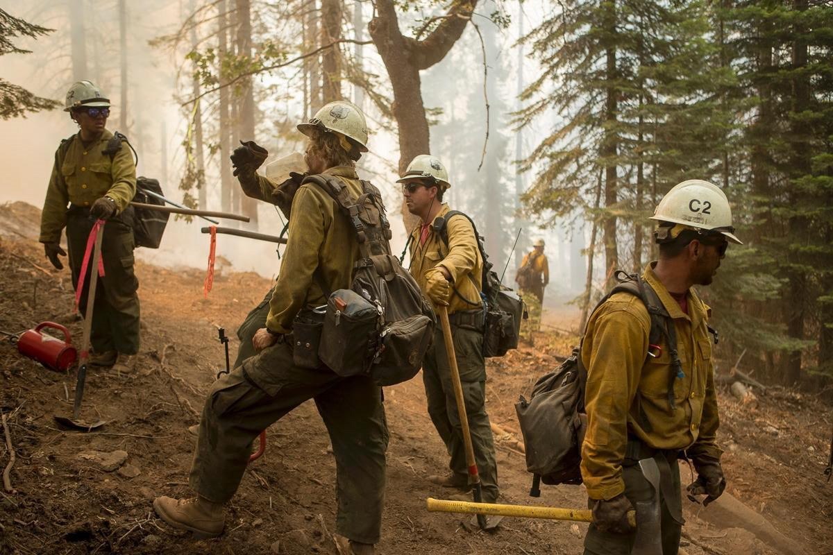 Trump declara el estado de emergencia en California debido a los incendios