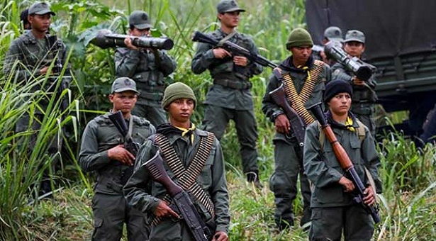 Soy Venezuela plantea acordar cooperación con Colombia y la DEA para combatir a las Farc (Comunicado)