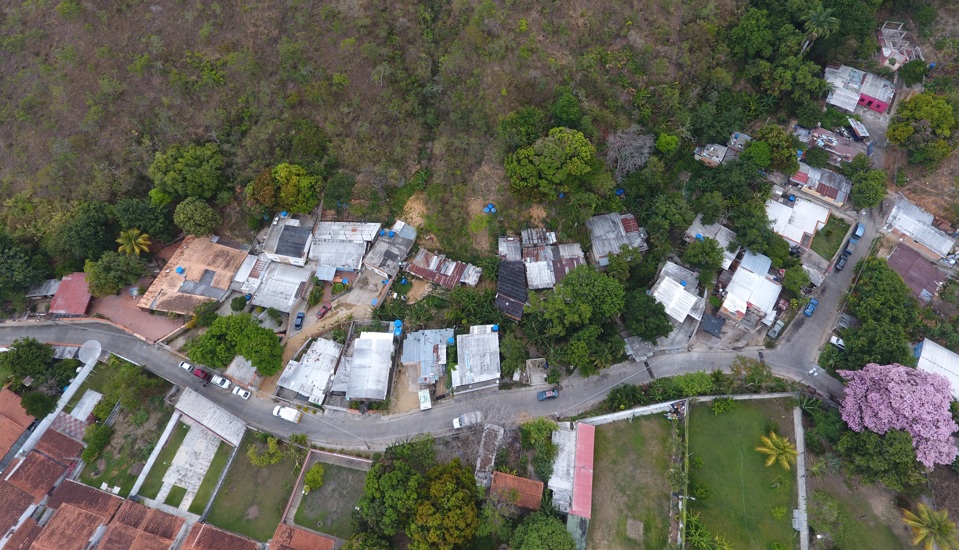 Denuncian invasiones en el Parque Nacional Henri Pittier (fotos y video)