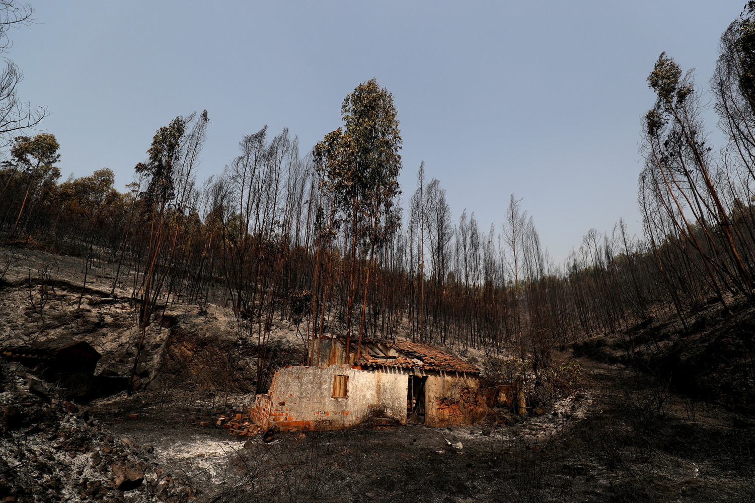 Un incendio al sur de Portugal moviliza a más de 1.150 bomberos