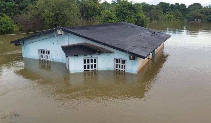 Puerto Páez en el estado Apure bajo las aguas por desbordamiento de los ríos Meta y Orinoco (Fotos y video)