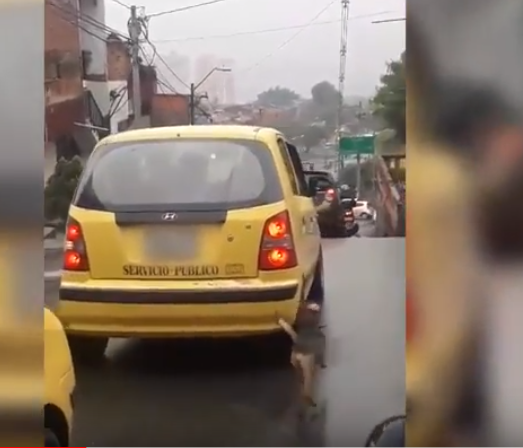 ¡Para llorar! un perrito corre 20 cuadras detrás de sus dueños que intentaban abandonarlo (Video)