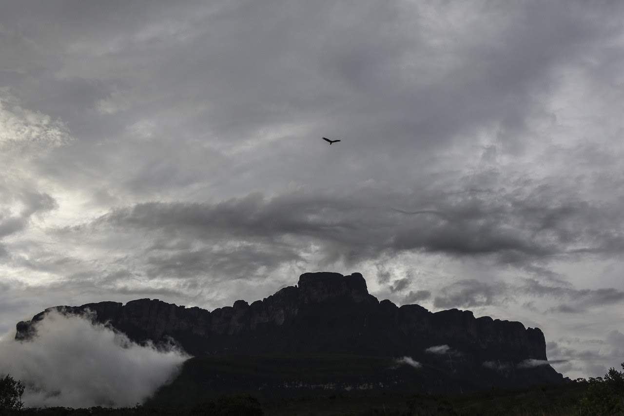 Documental BBC Mundo: Por qué los pemones se enfrentan al régimen de Maduro en el majestuoso Parque Nacional Canaima