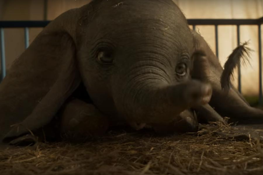 ¡Morirás de ternura! Disney estrenó el nuevo tráiler de “Dumbo” (VIDEO)