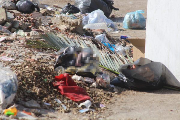 Hallan a recién nacido en basurero de Catia La Mar