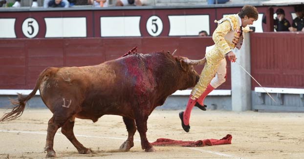 ¡No se sentará por un tiempo! Toro se lleva por los cachos el CUerpo de este torero francés (VIDEO)