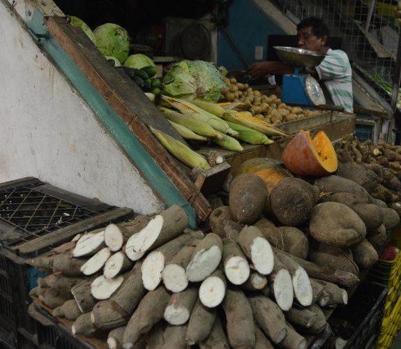 Los guaros matan el hambre a punta de yuca y auyama